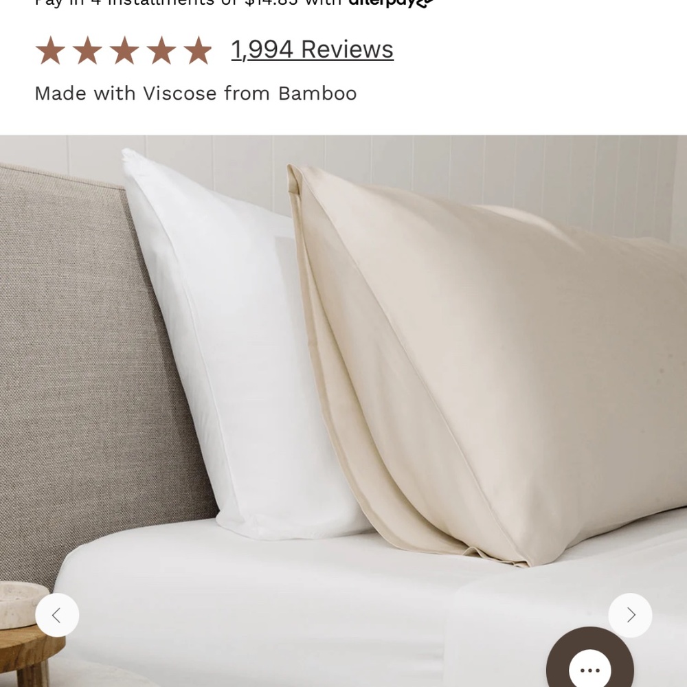 Cozy Earth Bamboo pillow case